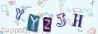 This is a captcha-picture. It is used to prevent mass-access by robots. (see: www.captcha.net)